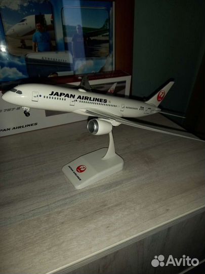 Модель самолета boeing 787-8