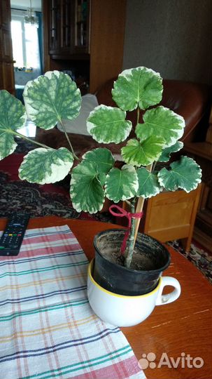 Продам мраморное дерево