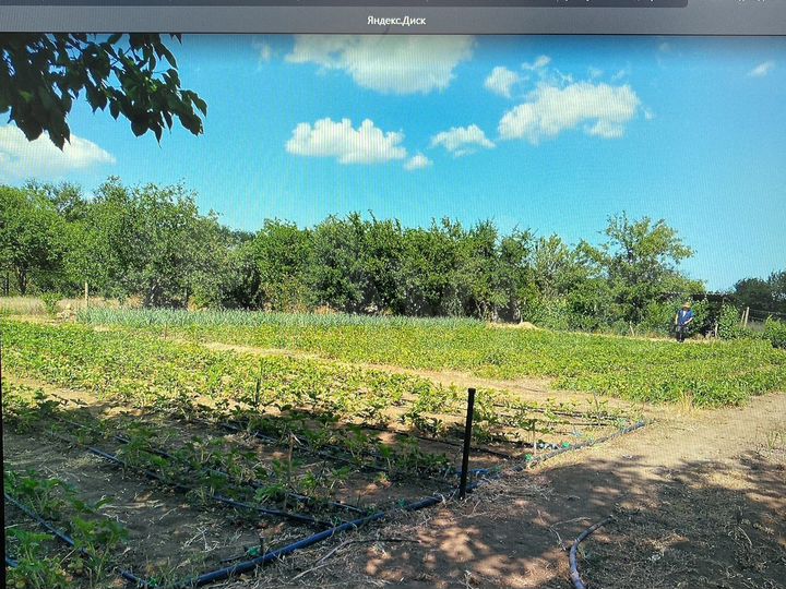 Участок 12 сот. (СНТ, ДНП)