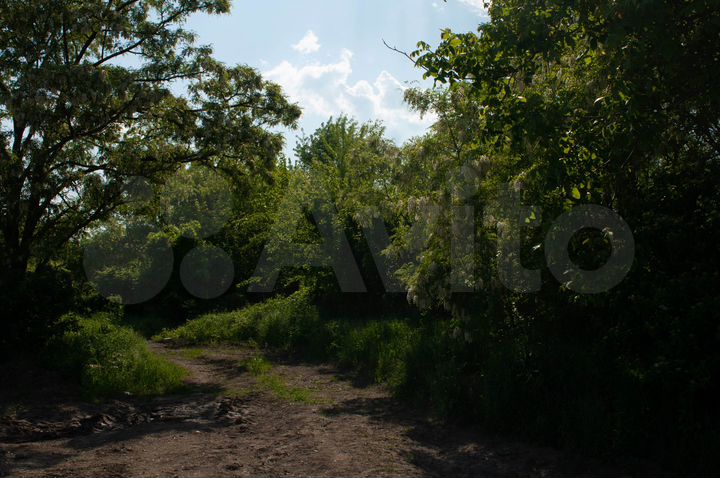 Участок 60 сот. (СНТ, ДНП)