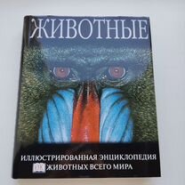 Может ли работа стать инструментом профилактики выгорания?»