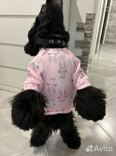 Кофта для собачки