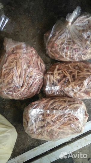 Лапки перепелов