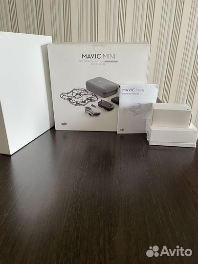 DJI mavic mini