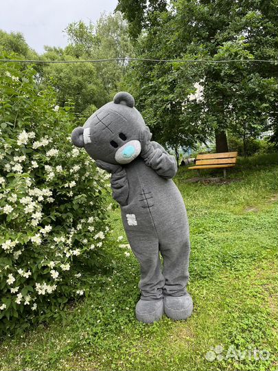 Аниматор Мишка Тедди