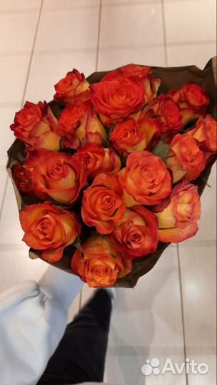 Розы Цветы Букеты Диантусы 31 51 75 Ставрополь