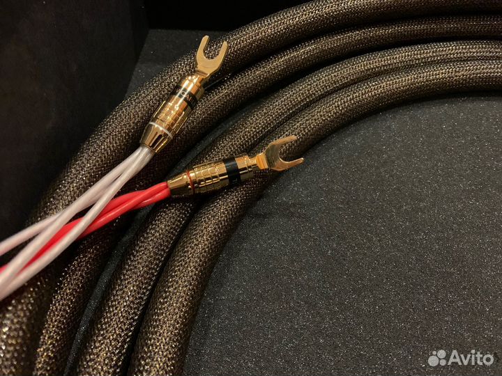 Tchernov cable Reference DSC SC Sp/Sp 3,1 m Демо