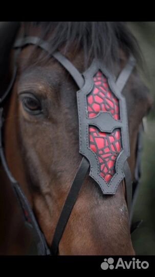 Оголовье для лошади