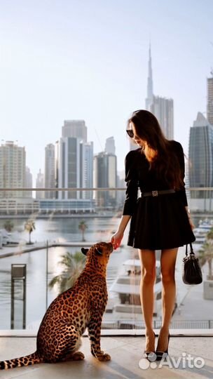 Видео с пантерой, леопардом Нейрофотосессия