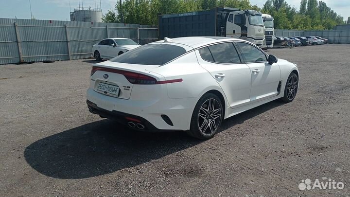 Kia Stinger 2.0 AT, 2021, 22 599 км