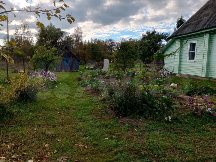 Дом 45 м² на участке 20 сот.