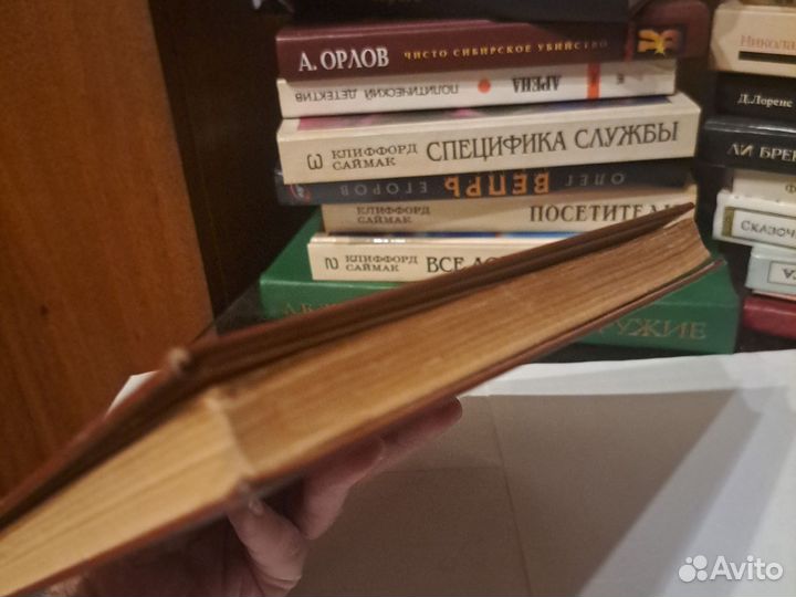 М.Пинаев - Чернышевский