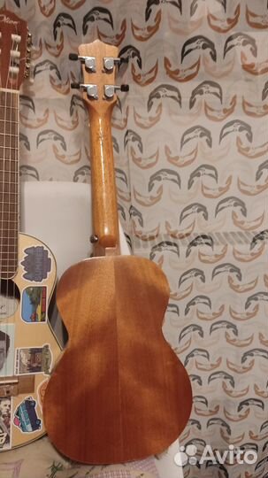 Укулеле концентр