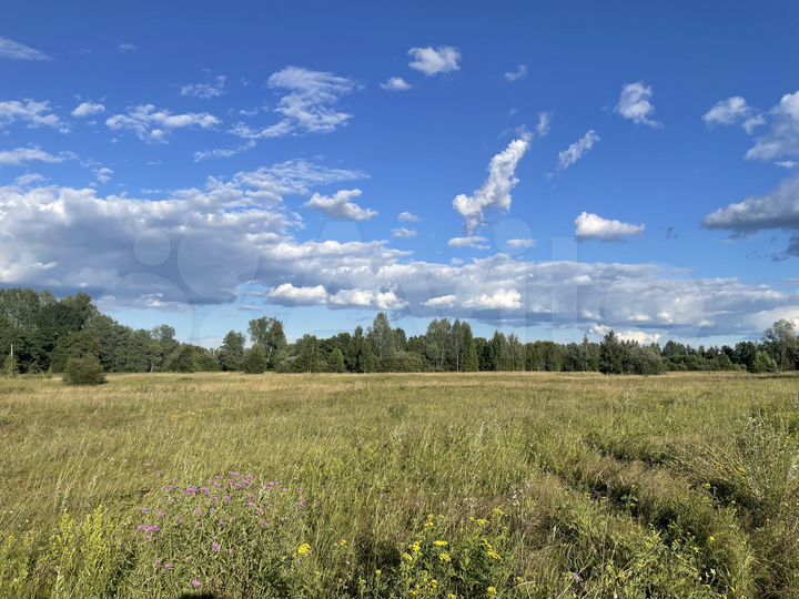 Участок 9,19 га (СНТ, ДНП)