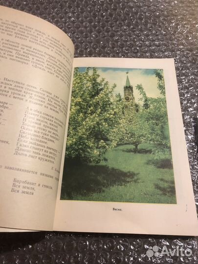 Родное Подмосковье