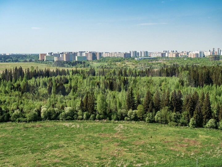 1-к. квартира, 23,5 м², 10/17 эт.