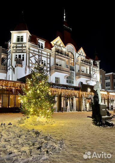 Тур на Новый год