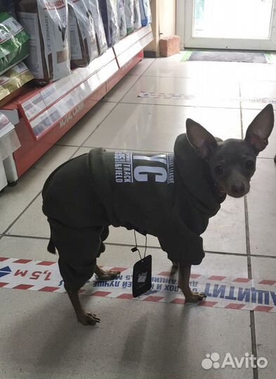 Комбинезоны для собак осенние и зимние в наличии