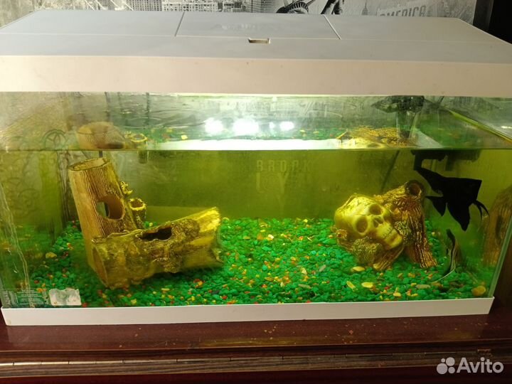 Украшение и аквариум