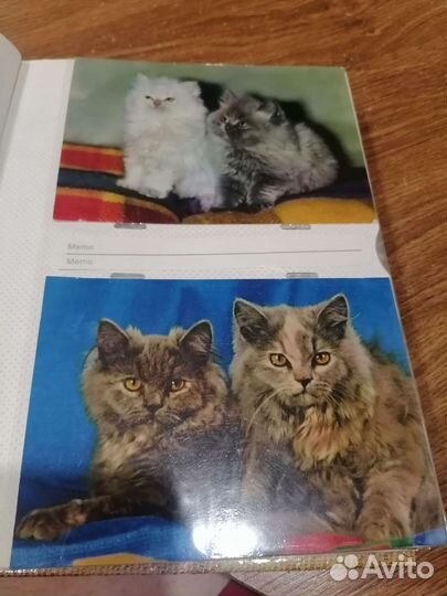 Открытки СССР с котами