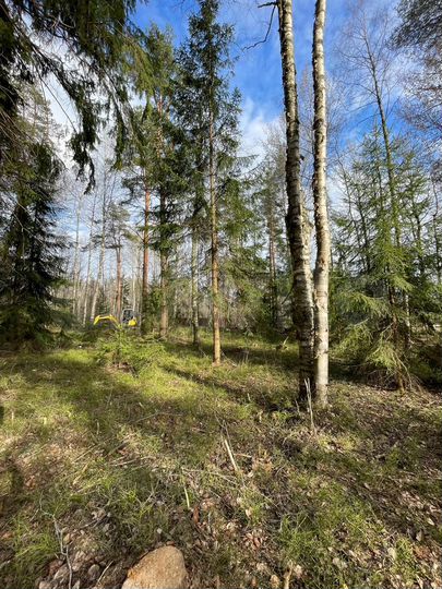 Участок 6,5 сот. (ИЖС)