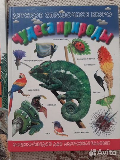 Энциклопедия для детей