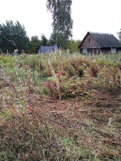 Участок 15 сот. (ИЖС)