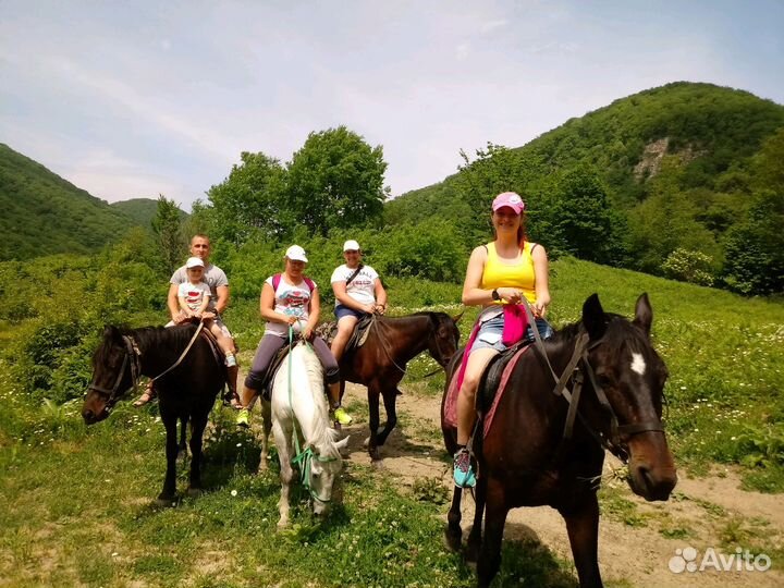 Конные прогулки