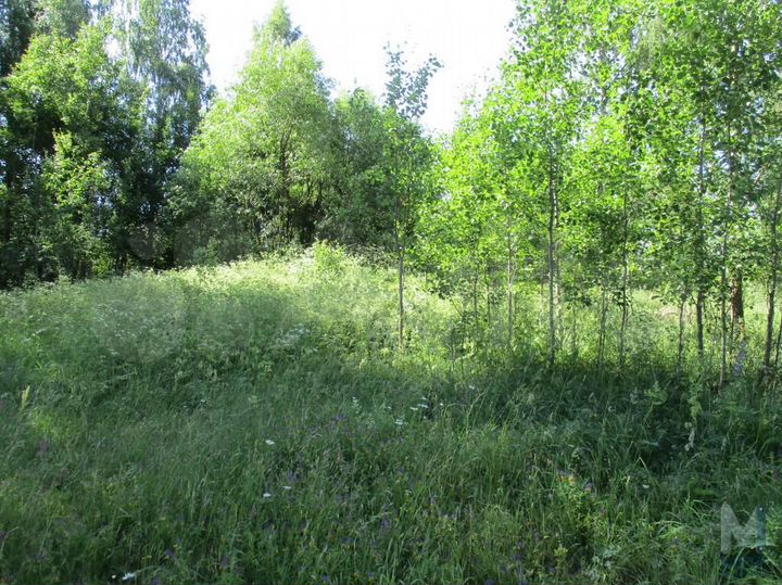 Участок 50 сот. (ИЖС)