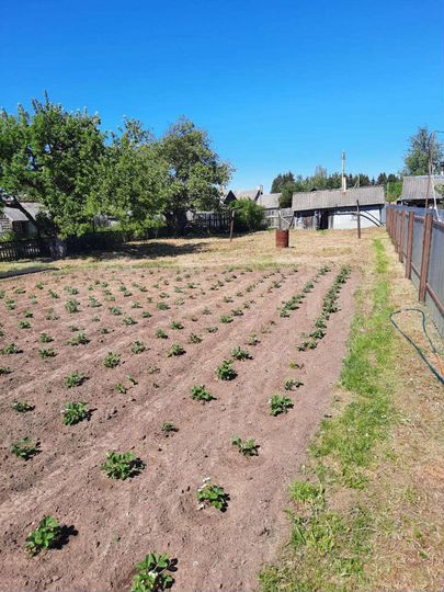 Дом 40,2 м² на участке 9 сот.