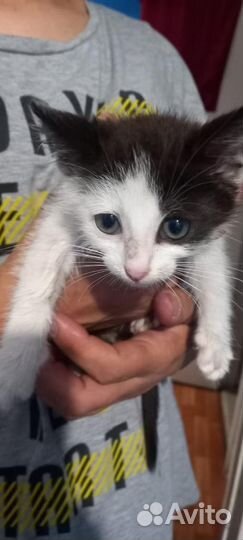 Ляля ждет родителей