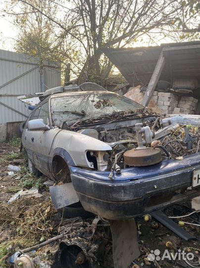 Toyota sprinter carib разбор