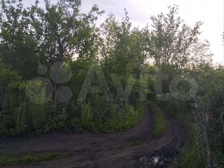 Участок 10 сот. (СНТ, ДНП)