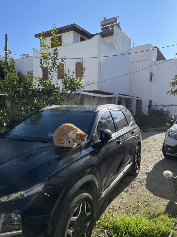 Hyundai Santa Fe: фото владельца