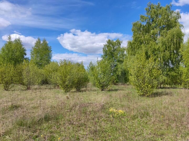Участок 29,1 сот. (ИЖС)