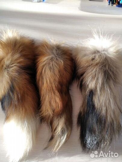 Хвост енота