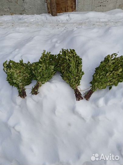 Веники для бани