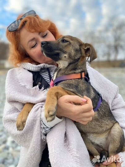 Щенок в добрые руки