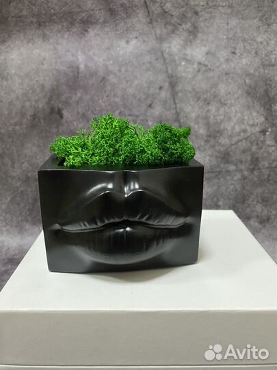 Кашпо Губы Джоли (2 шт)