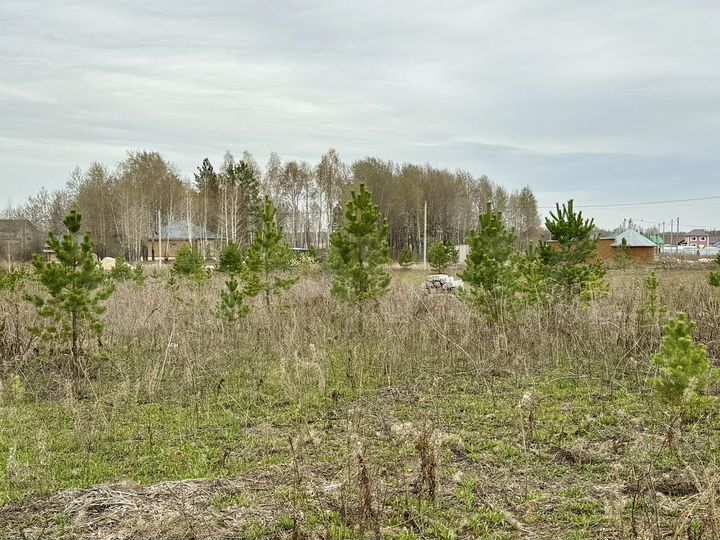 Участок 15 сот. (ИЖС)