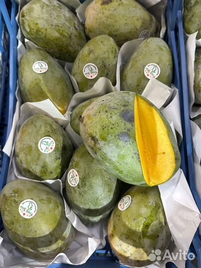 Манго с черными точками Египед