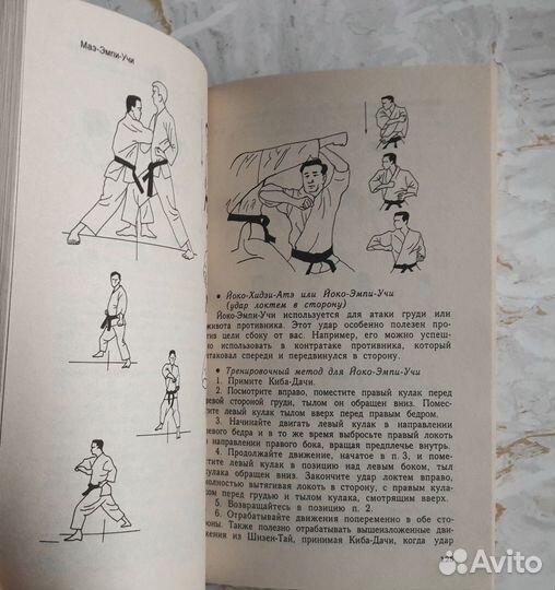 Динамика каратэ Масатоши Накаяма