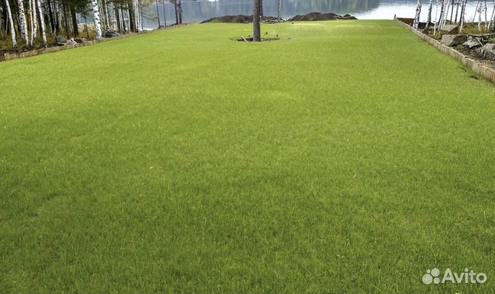 Благоустройство территории