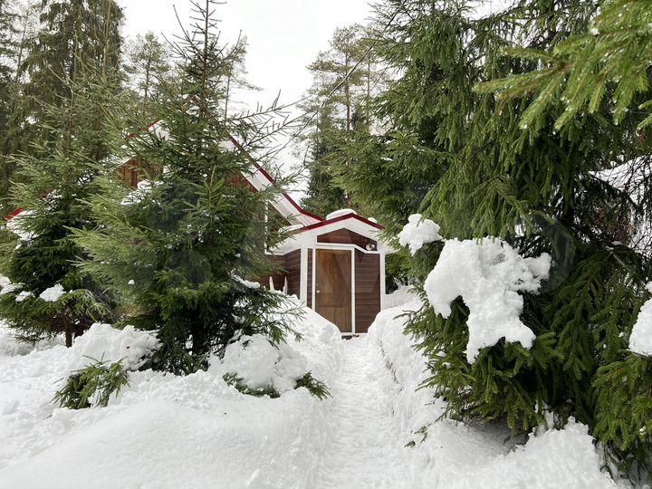 Дом 65 м² на участке 50 сот.