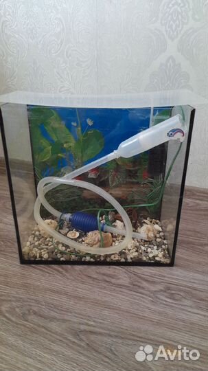Аквариум