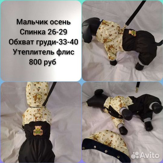 Одежда, дождевики, комбинезоны, для собак