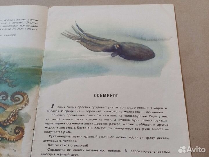 Тонкая детская книга СССР