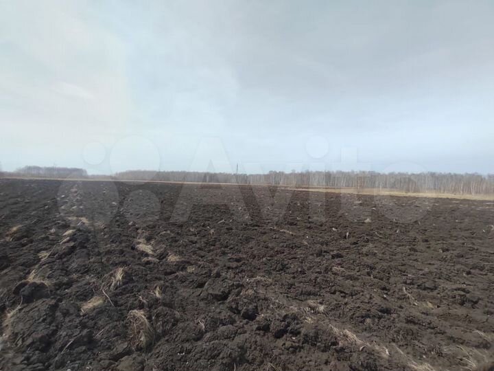Участок 15 га (СНТ, ДНП)