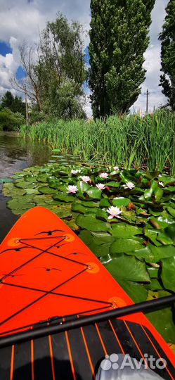 Sup сап доска