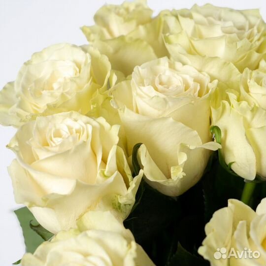 Букет из 11 роз Арктика 60 см